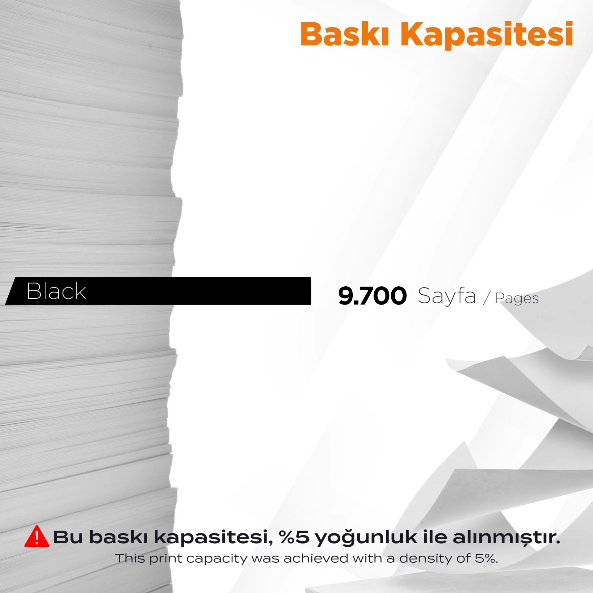 Baskı kapasitesi