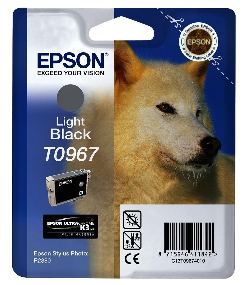 Epson T0967 / Stylus Photo R2880 Açık Siyah Orjinal Kartuş