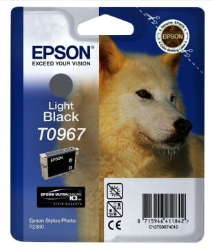 Epson T0967 / Stylus Photo R2880 Açık Siyah Orjinal Kartuş